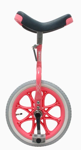 さき　競技用一輪車　16インチ　タイヤ2本付き mys16sv.jpg