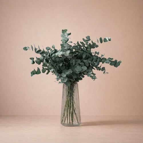 FLORES SOLIDARIAS - Flores Preservadas - Ramos de Flores Preservadas Naturales - Eucalipto Preservado - Regalo día de la Madre - Regalo Aniversario, Regalos San Valentín - Envio 24 h