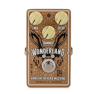 Absolutely ideal for Shoegaze, Ambient, Prog Rock or when you want to create an ambient swell or pad. MIX Knob: Controls the amount of effect that is blended into your clean tone. DECAY Knob: Controls overall time of the reverb. SHIMMER Knob: Adds ha...
