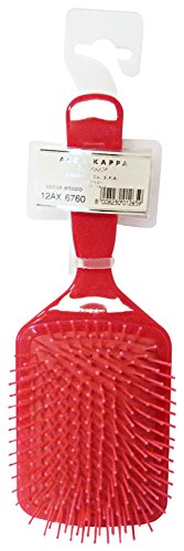 Brosse pneumatique Acca Kappa 12 ax6760 grand carré plastique dents en nylon pour cheveux