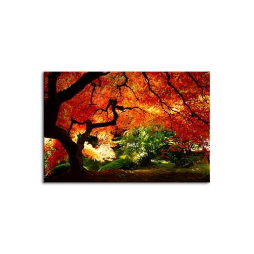 ���R �z�[������ �ؘg�t���̊����i ���i�� �|�X�^�[ ���i �H �G�� �g�t �H�̖� �H�̗t �H�F ���݂� �A�[�g�p�l�� ������ ���_�� ���ւɏ��� �L�����o�X�G�� �Ǌ|�� �������� (50x70cm�i20x28in�j,A)