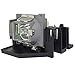 Optoma BL-FP200D Projector lamp - P-VIP - 200 Watt - for Optoma EP771