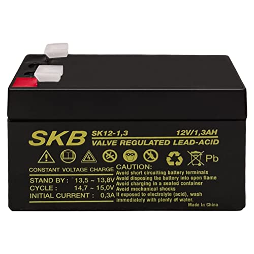 Capacità 1.3 Ah BATTERIA AL PIOMBO 12V 1,3A