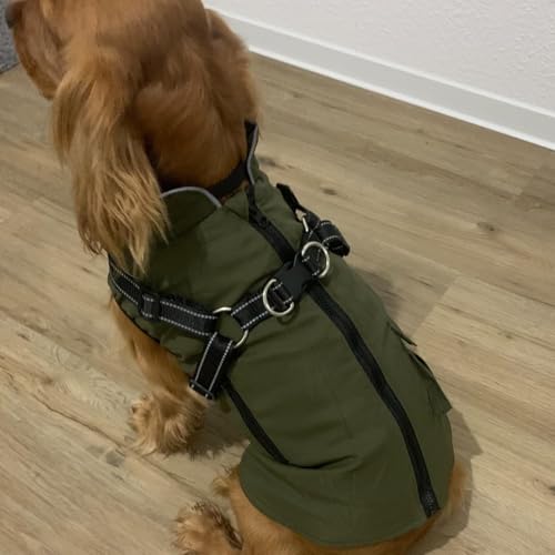 Woiil Hundemantel Hundejacke Wintermantel für Mittelgroße Hunde, Hundemantel Winter mit Geschirr, Hunde Wintermantel Ärmellose Baumwolle Gepolsterte Weste Wasserdicht Warme Reflektierend, Armeegrün M