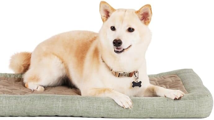review Reddy CBD Sleep Mat/Bed for Dogs, 30 L X 19