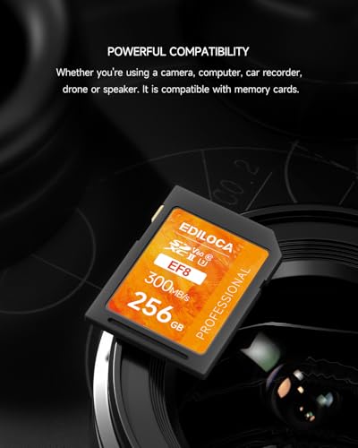 256GB UHS-II SD Card V60 Memory Cards for Professional Camera 4K/6K Video - 300MB/s Read, 160MB/s Write, Shockproof & Waterproof High-Speed Storage, U3 Class 10 Compatible with Canon (EF8)