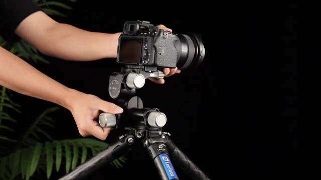 Amazon.com : LEOFOTO GW-01 Geared 3-Way Ball Head with Arca Swiss