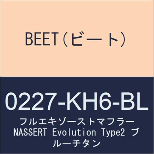 BEET(�r�[�g) �t���G�L�]�[�X�g�}�t���[ NASSERT Evolution Type2 �u���[�`�^�� 18-23 Ninja400 0227-KH6-BL