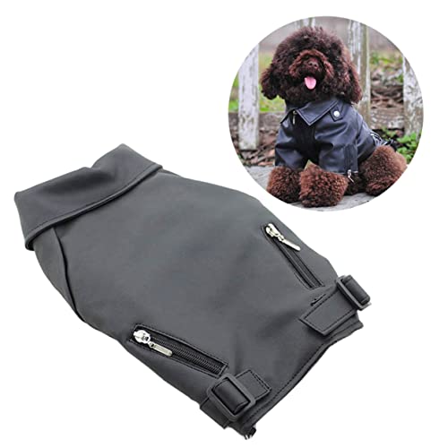 EXAOMBLE pU[~R[g WbvAbv xXg^ybg h݌v nΉ ^^Ή Ot 