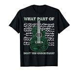 Acoustic Guitar Electro Guitar Matrix Style Player