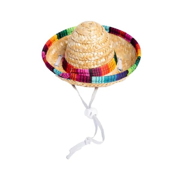 Cinco de mayo dog outfit - 2 piece set - mexican sombrero hat and collar - dog sombrero hat - dog bandana - mexican dog collar - pet costume for smaller dogs - cat costume - mexico fiesta by pet krewe - image 9