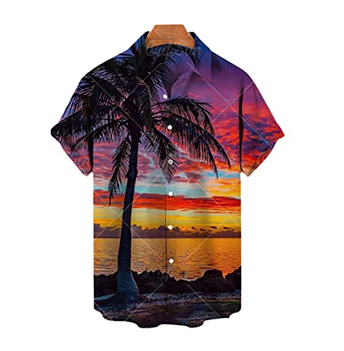 Chemise style hawaïen homme imprimé cocotier 3D vêtement ample été XL