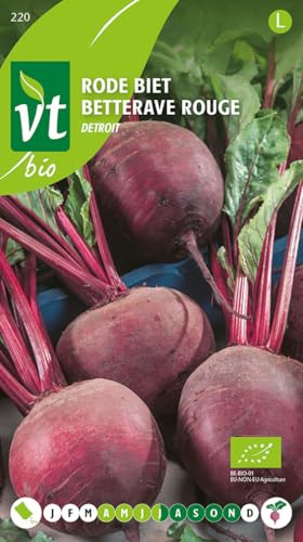Betterave rouge Detroit Bio Graines - Betterave rouge de forme ronde, bien colorée