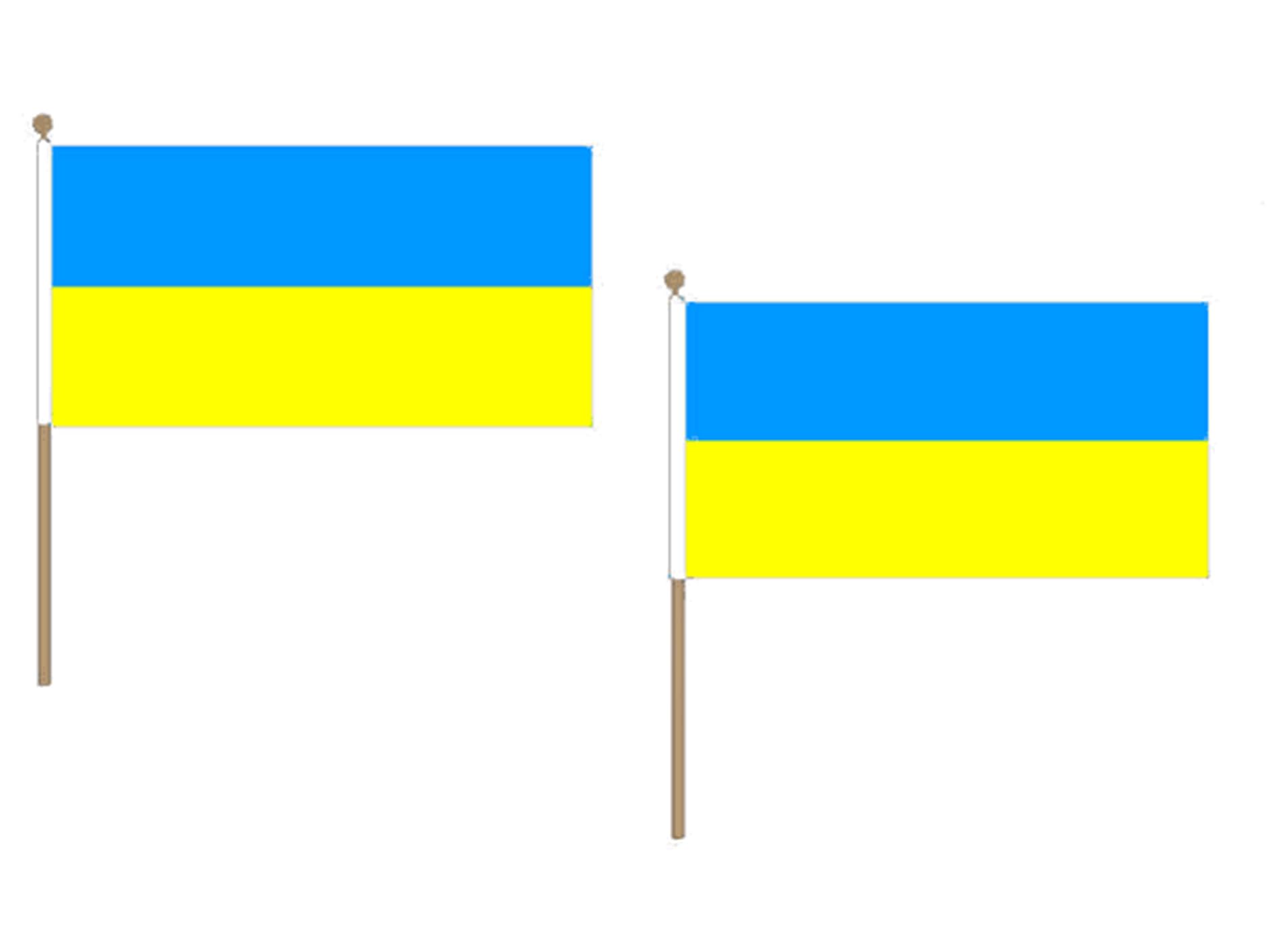 Drapeau Ukraine 45x30cm hampe en bois pour cortège et commémoration historique