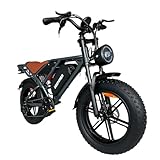 DEEPOWER QS7 Elektrofahrrad für Erwachsene, 20 Zoll × 4.0 Reifen Fat E-Bike mit 48 V 20 Ah abnehmbarem Akku, 25 km/h, 70-110 km Autonomie, 7 Gänge, komplette hydraulische Federung