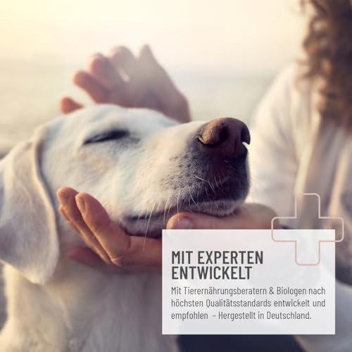 ReaVET Darmöl für Hunde 250ml I Verdauung, Darmflora I Sekundierend bei Verstopfung und Verdauungsproblemen, kein Remedium und Laxans