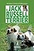 Il Jack Russell Terrier (arCani & C.) - Crosta di Moncalvo, Andrea
