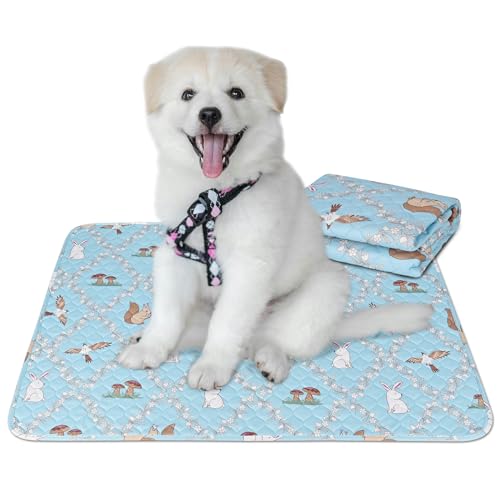 Image of Washable Pee Pads for Dogs, 28'' x 39'' Reusable Puppy Pads, Waterproof Pet Pads for Dog Cat, Absorbing Training Pads, Puppy Potty Pads with Waterproof Bottom (28 inch x 39 inch)