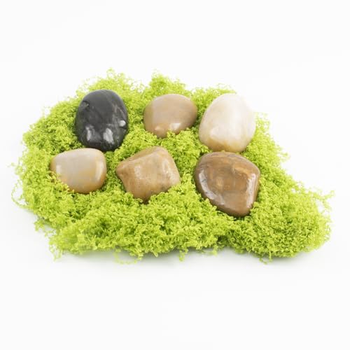 Image of 10lbs 1-2 Inch River Rocks, Decorative Mixed Pebbles for Garden Landscaping, Indoor Plants, Fish Tanks, Vases, and Succulents - Ideal for Home Decoration and Outdoor Gardens (Weight : 10 LB, Mixed)
