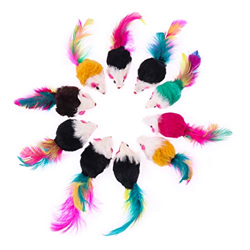 Ataxie Chez Le Chat Quels Sont Les Symptomes Et Traitements