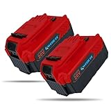 Qwenoer 2 Packs 6.0Ah 20V MAX PCC685L Battery Replacement for Porter Cable 20V Battery PCC680L PCC685L PCC682L PCC685LP PCC681L PCC600 PCC640 PCC670 Cordless Power Tools Battery, Red