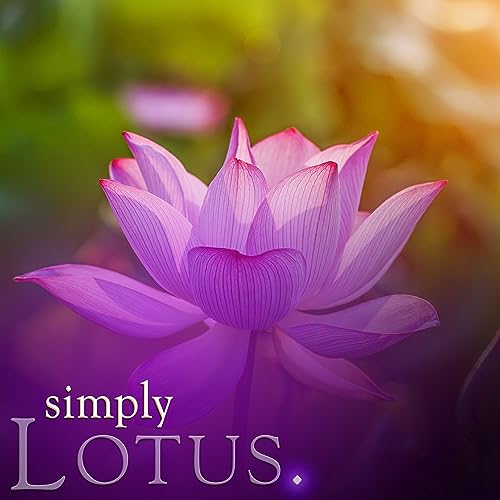 Recarga para difusor de varillas Simply Lotus 6.8 fl oz miniatura 4