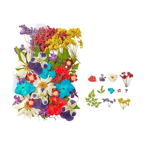 35 piezas flores secas prensadas para resina y manualidades miniatura 1