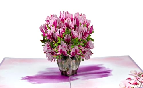 |bvAbvJ[h }OmAu[P 3Do[Xf[J[h Ɖԕt  K[th&}} t[J[h O[eBOJ[h a 肪Ƃ LO o^Cf[ ̓p