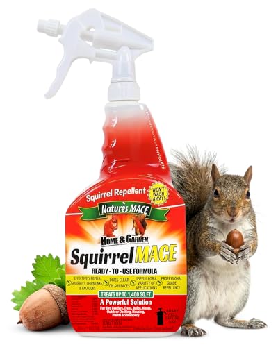 Nature's Mace Squirrel Mace, Squirrel Repellent Outdoor, 40 Ounce Spray, Squirrel and Chipmunk Repellent, Keep Squirrels Out of Your Garden, Attic, Bird Feeders, Fruit Trees, Plants, Potted Plants