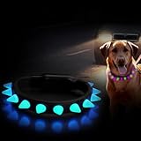YOORORO Waterproof LED Dog Collar - 8 RGB Modes with Remote Control, Safe Nighttime Visibility, Adjustable (11-18.9 Inch) with Custom Nameplate