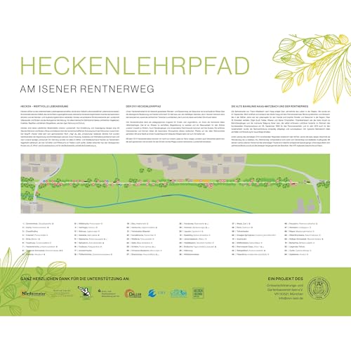 Von der Dampflok zum Schmetterling: Der Heckenlehrpfad Isen – So verwandelt Bürgerengagement eine alte Bahntrasse 