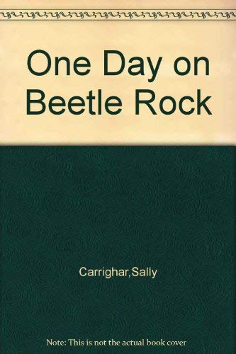 One Day on Beetle Rock 0345234952 Book Cover