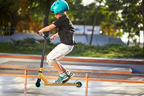 Joycruise Pro Entry Level Stunt Scooter