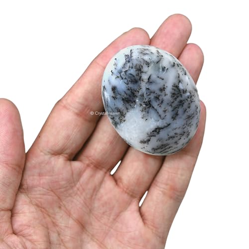 Image of Certified Dendrite Opal Crystal Palm Pebbles Stones for Anxiety Stress Relief Massage - AAA Grade Original Healing Gemstone Agate Palm Stone for Yoga Meditation Spiritual Reiki Feng Shui