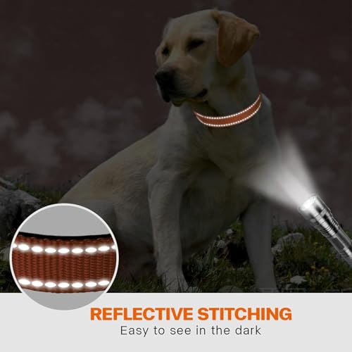 Taglory Hundehalsband, Weich Gepolstertes Neopren Nylon Hunde Halsband für Extra Große Hunde, Verstellbar und Reflektierend für das Training, Orange