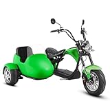 eAhora 2000W M1P Sidecar Electric Motorcycle for Adults,37mph 60V 30Ah Lithium Battery 40+ Miles Range, Full Suspension and Hydraulic Brakes Electric Mopeds, Purple -  Shenzhen Lezhongtian Trading Co., Ltd.