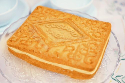Giant Custard Cream Cake Mould