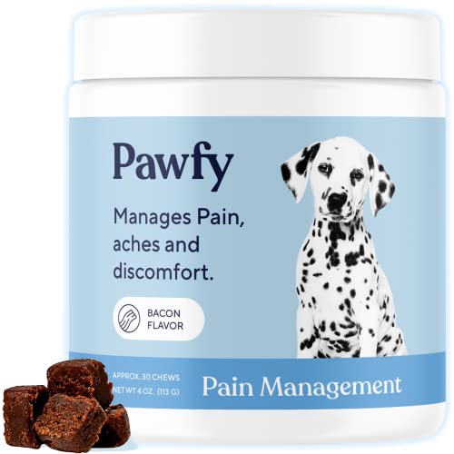 Find The Best Pain Medication For Dogs Reviews & Comparison Katynel