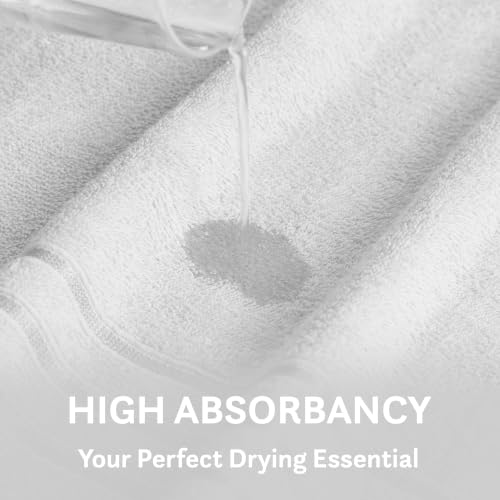 Image of MYTRIDENT Trident Hand Towels, 100% Cotton, Highly Absorbent, Super Soft, 2 Piece Hand Towel Set, 400 GSM, Hand Towel Set of 2, Gym - Spa Towel, Comfort Living Towel-Ice Grey