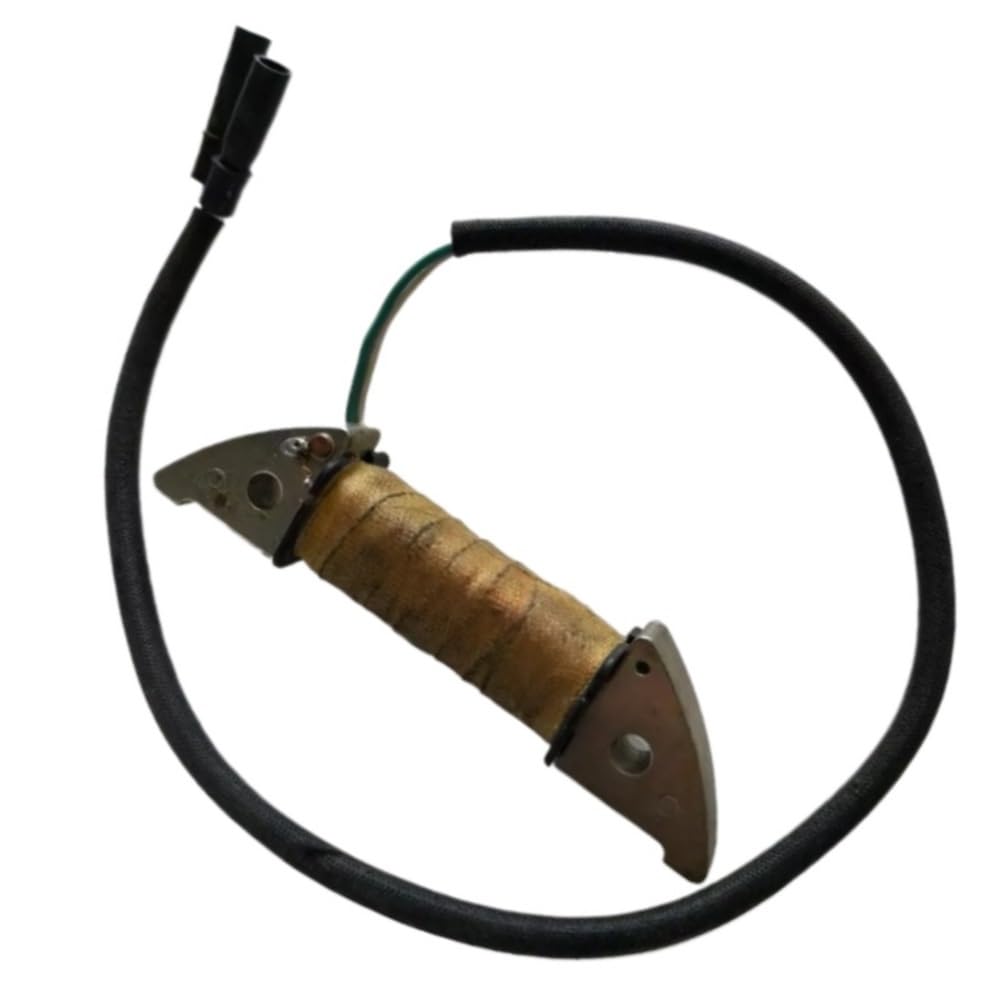 Bobine de compatible avec générateurs EF6600 et EF5500TE