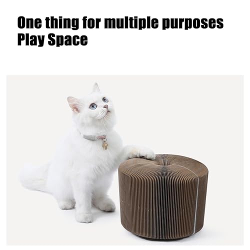 Jouet interactif accordéon chat avec planche à gratter magnétique - 4