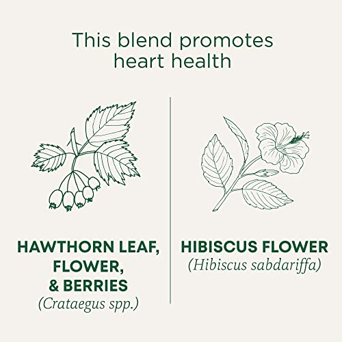 Traditional Medicinals Tea, Organic Hawthorn & Hibiscus, Promotes Heart Health, 16 Tea Bags