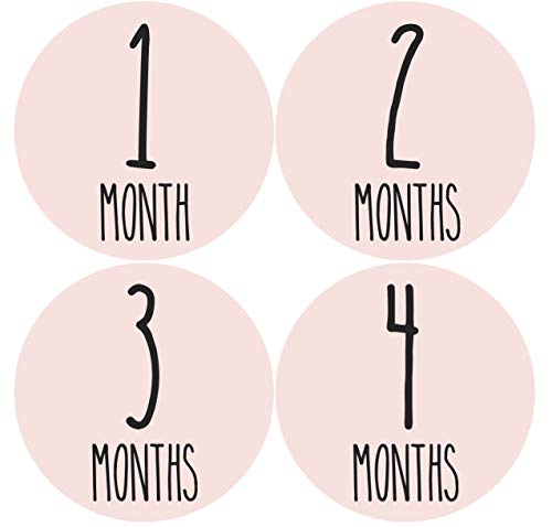 Pegatinas mensuales para bebé niña | Pegatinas para recién nacidos | Pegatinas para recién nacidos | Pegatinas para bebé niña | Pegatinas para recién nacidos mensuales (juego de 24)