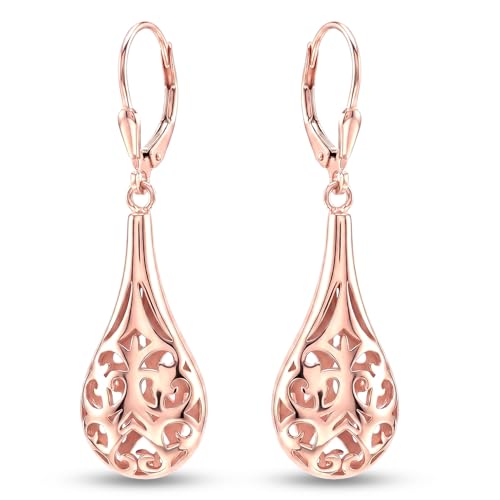 Image of TRUESILVER ACPL 925 Sterling Silver Drop Earrings for Women & Girls | BIS Hallmarked Elegant Dangle Earrings | Stylish Leverback Everyday & Gift Jewelry
