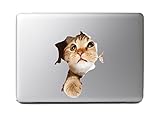 Cute Fluffy Animals #6 - cat in paper side torn hole - Vibrant High Resolution Full Color Vinyl Laptop Tablet Decal
