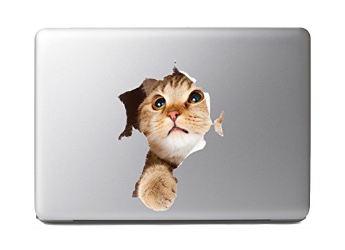 Cute Fluffy Animals #6 - cat in paper side torn hole - Vibrant High Resolution Full Color Vinyl Laptop Tablet Decal