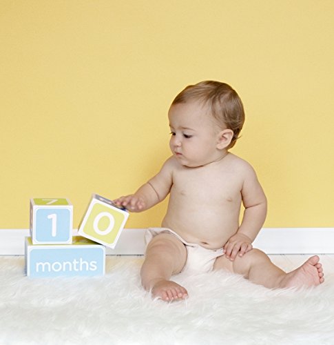 Pearhead Baby Age Photo Sharing Blocks, Blue