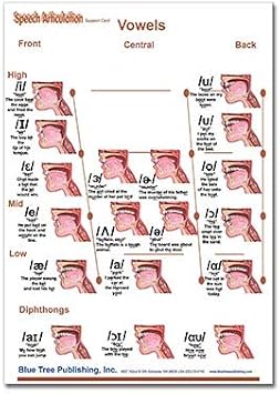 Speech Articulation (A4)