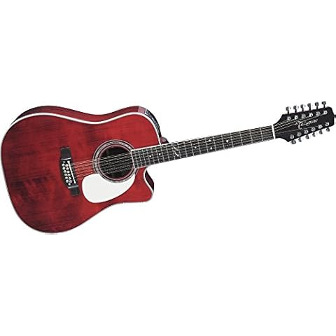 Takamine JJ325SRC-12 John Jorgenson Signature 12-String Acoustic-Electric Guitar with Hard Case Cover