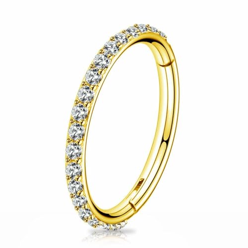 BLISI G23 Titanium Nose Rings Hoop Septum Clicker 16G Hinged Nose Segment Ring Hoop 8mm/9mm/10mm Cubic Zirconia Cartilage Earrings Conch Daith Helix Rook Tragus Ear Body Piercing Jewelry 16
